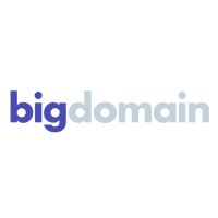 Big Domain logo